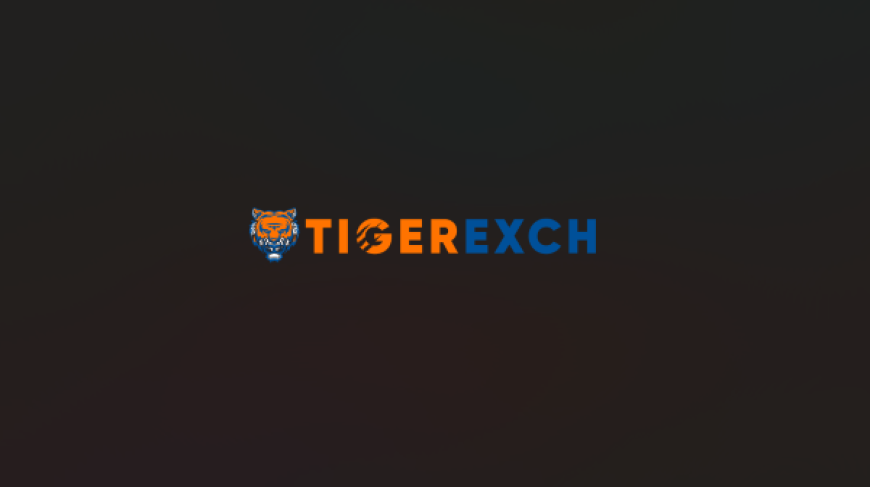 Tiger365 Pro Security Guide: How to Protect Your Betting Account and Transactions