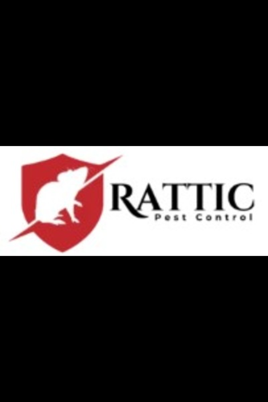 Professional Pest Solutions