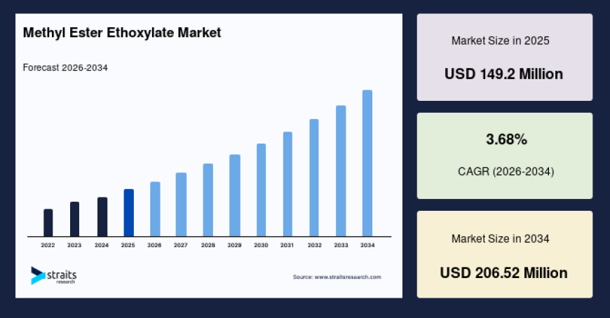 Global Methyl Ester Ethoxylate Market Investment Opportunities 2034