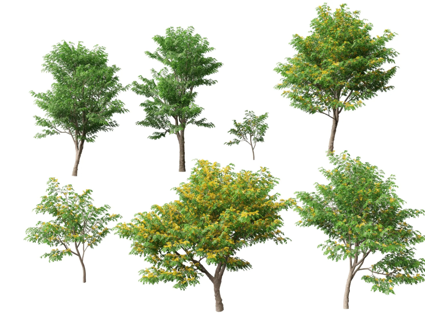 3Ds Max Tree 3D Models for Professional Architectural Rendering