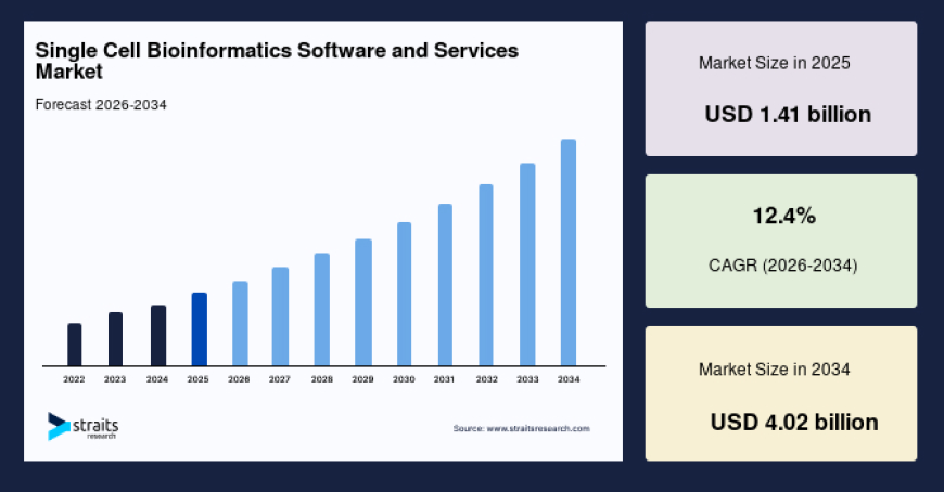 Single Cell Bioinformatics Software and Services Market Growth, Demand and Forecast Report, 2034