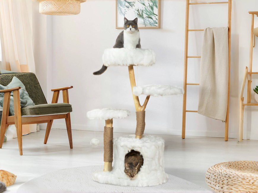 Naturkratzbaum Kaufen Für Mehr Komfort Und Spielspaß Zuhause Täglich