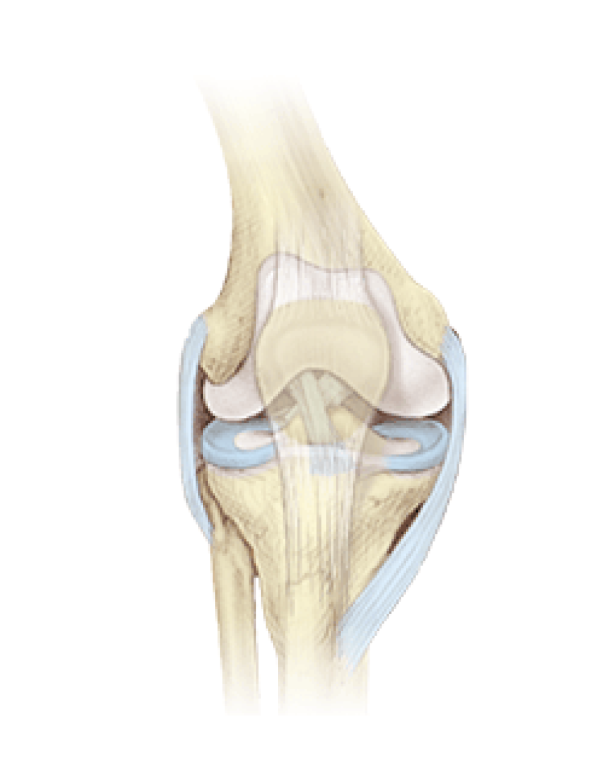 Anterior Cruciate Ligament Injuries Market Growth Driven by Surgical Innovations