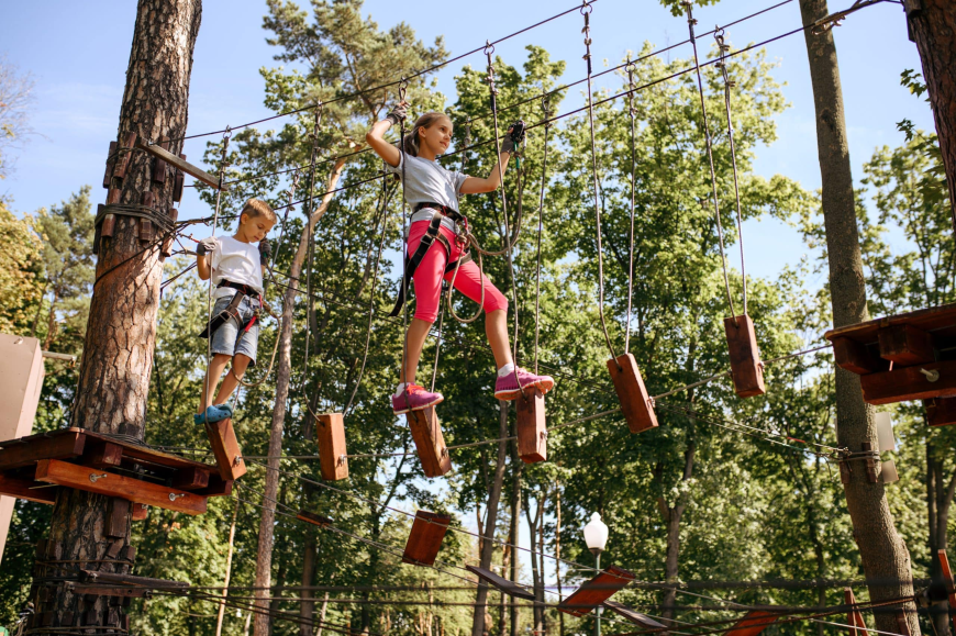 What Makes a Summer Day Camp Program Actually Worth Joining Today