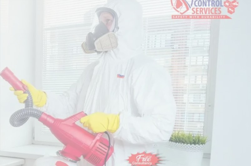 Pest Control Rawalpindi | Best Pest Control Islamabad Services