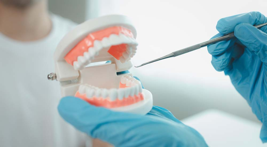 What Should You Know Before Choosing Dentist Insurance Plans?