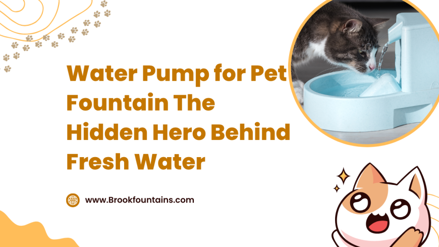 Water Pump for Pet Fountain The Hidden Hero Behind Fresh Water