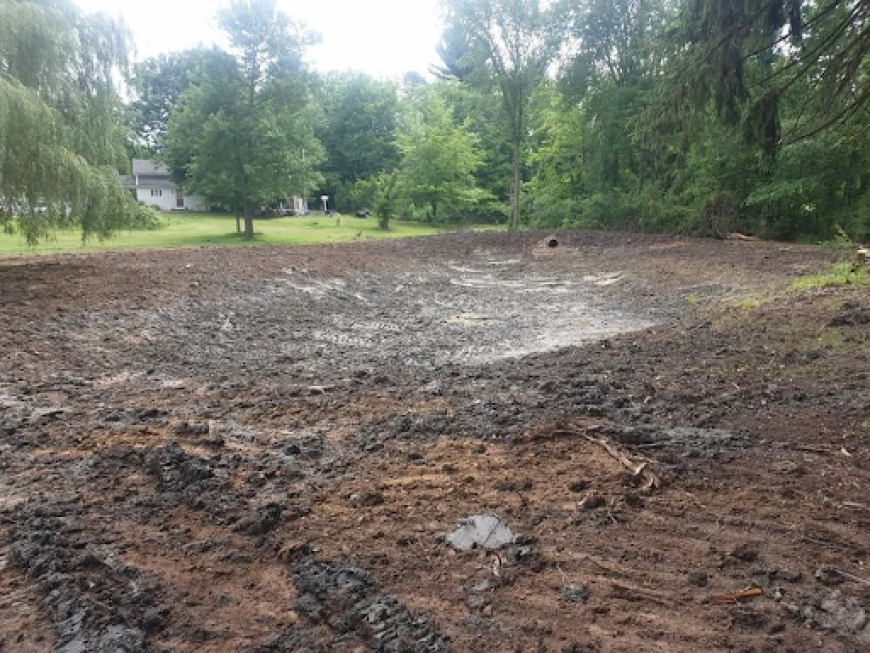 Can Professional Land Clearing Turn Overgrown Property Into Valuable Land?