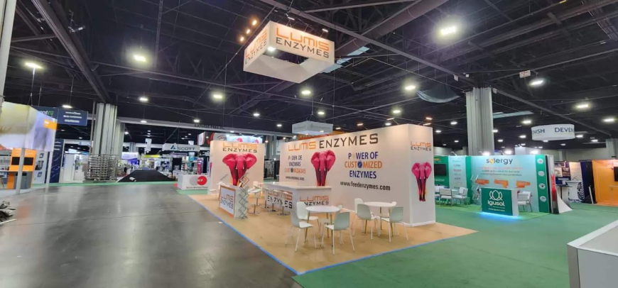 Stall Design and Fabrication for Impactful Exhibition Displays
