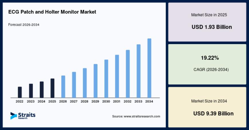 ECG Patch and Holter Monitor Market Witnesses Strong Demand from Healthcare Providers