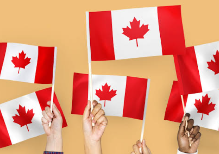 Common Reasons for Receiving a Procedural Fairness Letter in Canada
