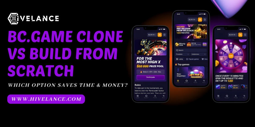 BC.Game Clone vs Building From Scratch - Which Option Saves Time & Money?