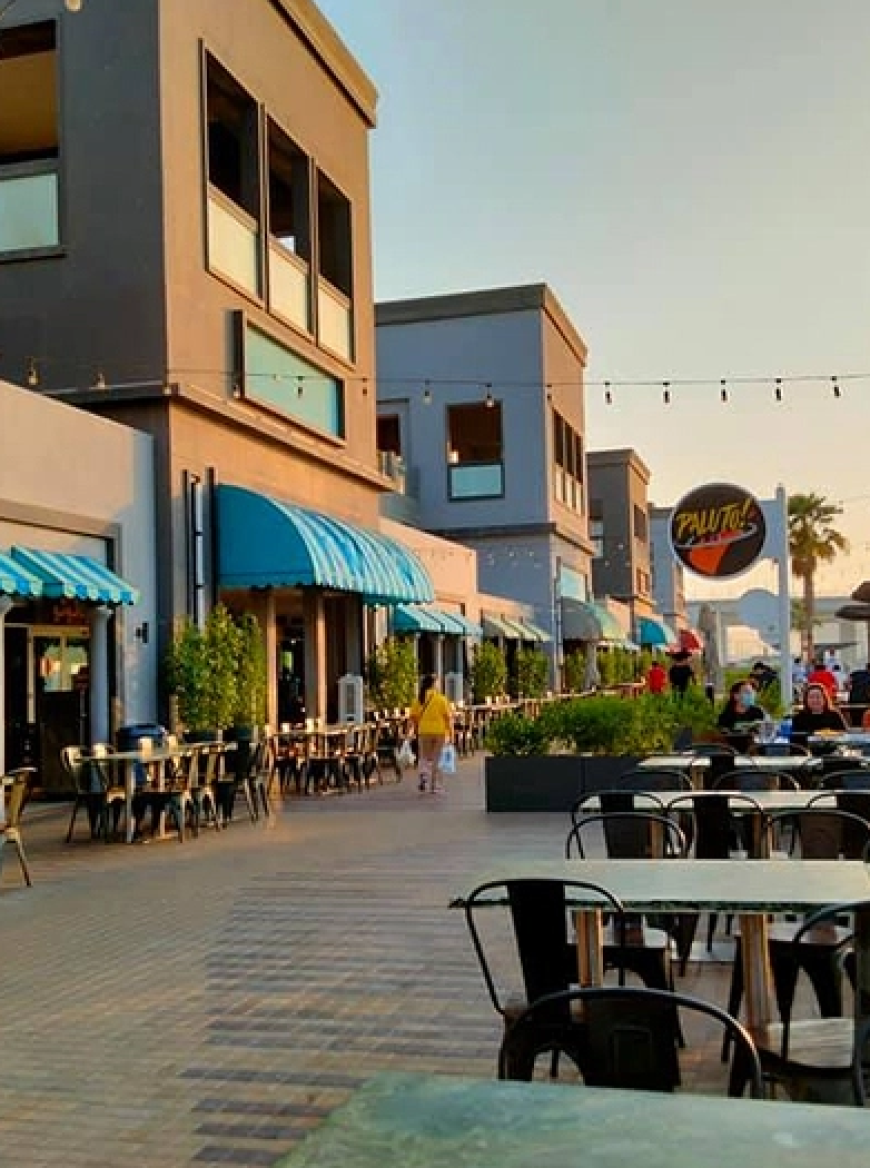Top Spots for Plant-Based Dining Near Dubai's Food Hub
