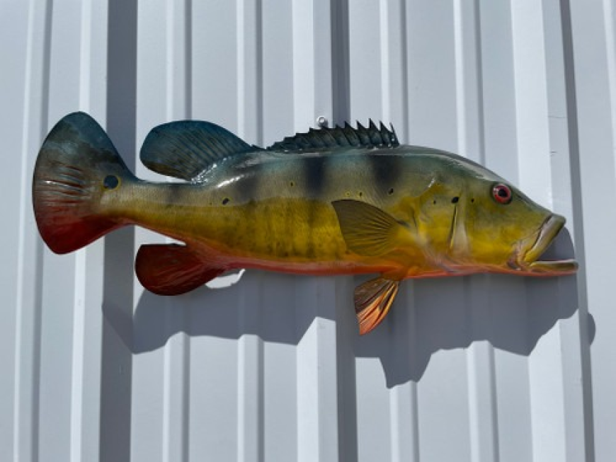 Premium Fish Mount Replica Services in the USA – Preserve Your Catch with Precision