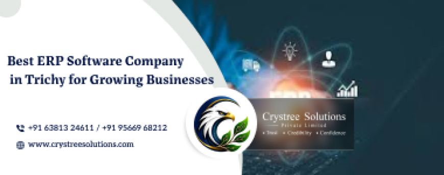Professional Website Maintenance Services in Trichy