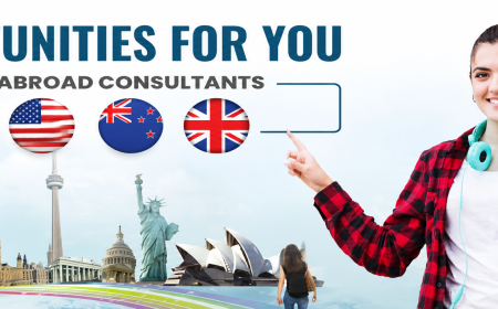 Why Students Prefer Overseas Consultancy Hyderabad for Global Education