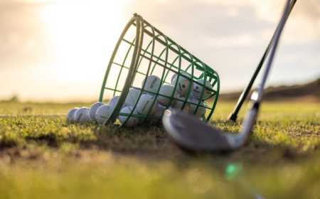 Golf Equipment Market Analysis: Consumer Preferences and Industry Insights