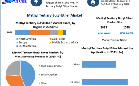 Methyl Tertiary Butyl Ether Market Set for Significant Growth Amid Rising Fuel Demand