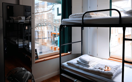 Hostel Industry Evolution: How Budget Travel Is Driving Market Expansion