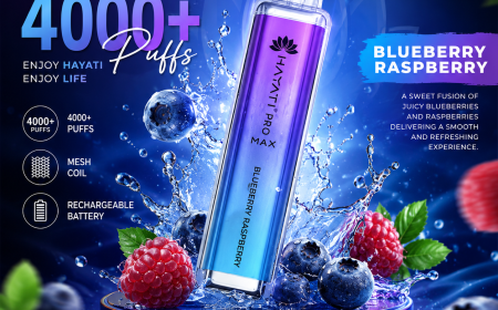 Hayati Pro Max 4000 Box of 10 – Wholesale Rechargeable Vape Pack | 4000 Puffs Each