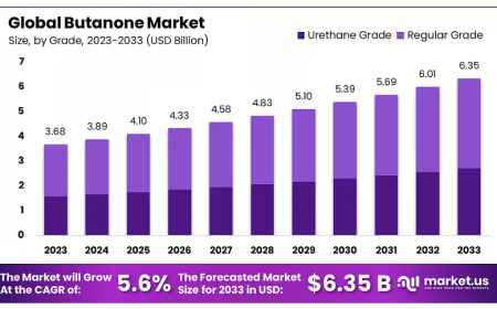Butanone Market Regional Opportunities and Investment Outlook