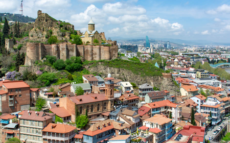 What Are the Entry Requirements for Indians Traveling to Georgia?