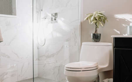 The Rise of Eco-Friendly Products in the Toilet Seat Market
