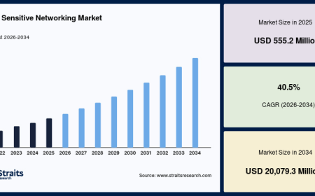Time-Sensitive Networking Market Industry Analysis, Growth Drivers & Forecast (2026–2034)