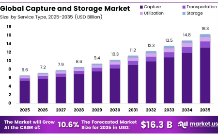 Carbon Capture and Storage Market Commercialization Trends in Large Scale CCS Projects