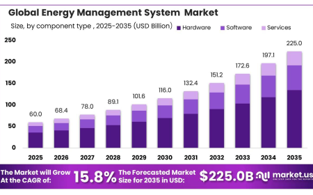 Energy Management System Market Growth Scenario and Investment Opportunities
