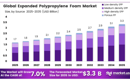 Expanded Polypropylene Foam Market Adoption Trends in Protective Packaging