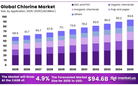 Chlorine Market Strategic Outlook for Global Industry