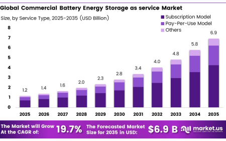 Commercial Battery Energy Storage As a Service Market Trends, Opportunities and Future Growth