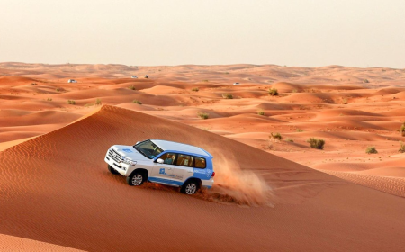 How Do You Choose the Best Desert Safari in Dubai 2026 ?