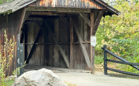 Best Family Activities at Hidden Valley Orchards in Lebanon, Ohio: Create Lasting Memories