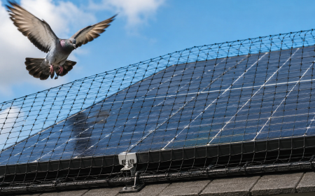 Bird Netting UK for Reliable Solar Protection From Pigeons