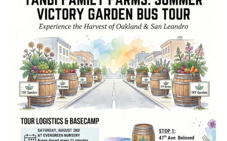 Summer Victory Garden Bus Tour | Evergreen Nursery