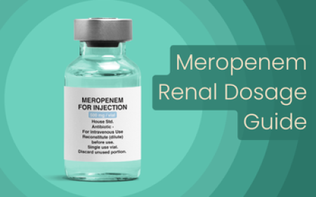 Meropenem Renal Dosing Guide - Renal Dosage