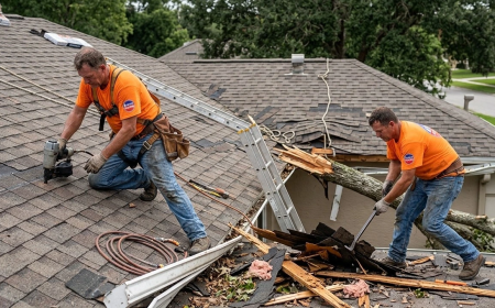 When Roofers Recommend Immediate Action for Roof Damage