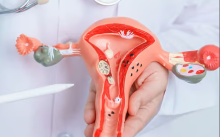 Premature Ovarian Failure Treatment In Dubai – Advanced Care for Reproductive and Hormonal Health