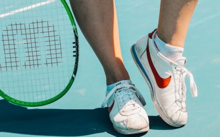 Badminton Shoe Market Analysis: Consumer Trends and Competitive Landscape