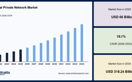 Virtual Private Network (VPN) Market Future Outlook and Forecast (2026–2034)