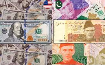 USD Dollar to PKR Today Rate in Pakistan Guide