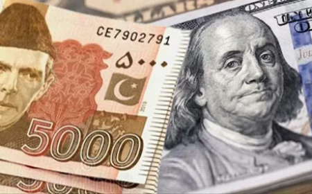 1 USD to PKR Exchange Rate Guide