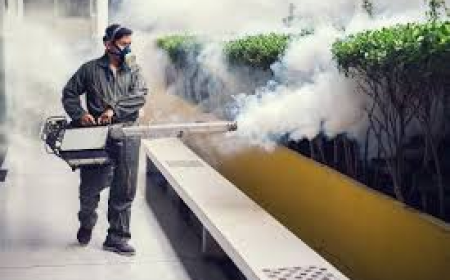 Mosquito Killer Spray Services in Lahore Powerful Prevention for Modern Living