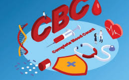 CBC Blood Test Price in Lahore Ultimate Guide to Complete Blood Count Testing
