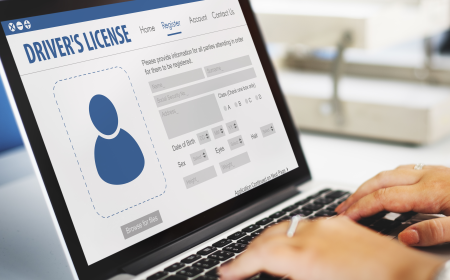 What Is Included in Certified Driver's License Translation Services?