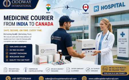 A Comprehensive Guide for Safe Pharmaceutical Shipment from India to Canada