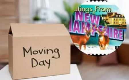Local Movers Burlington VT: Reliable Moving Services for Homes and Businesses