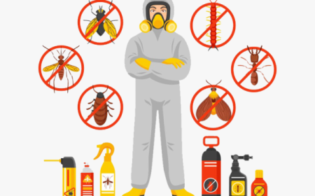 Why Pest Control Treatment in Lahore Matters More Than Ever